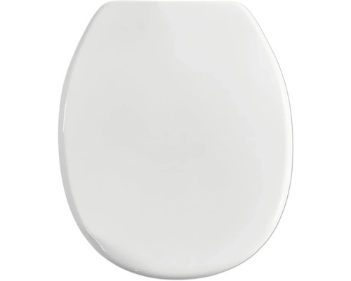 Toiletdeksel van kunststof