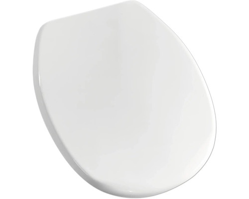 Toiletdeksel van sanitair keramiek