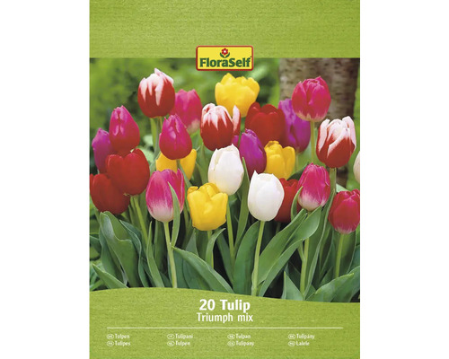 20 Triumph Tulpenmix van FloraSelf