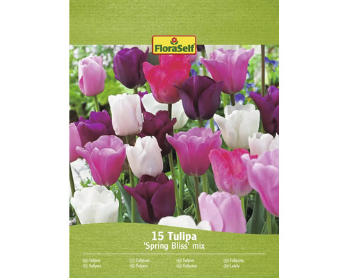 FloraSelf Tulpen Spring Bliss mix, verpakking met 15 stuks