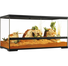 Ingericht terrarium met woestijnlandschap
