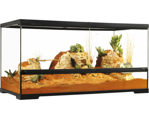 Ingericht terrarium met woestijnlandschap