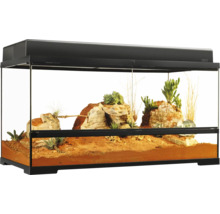 Ingericht terrarium met stenen en planten