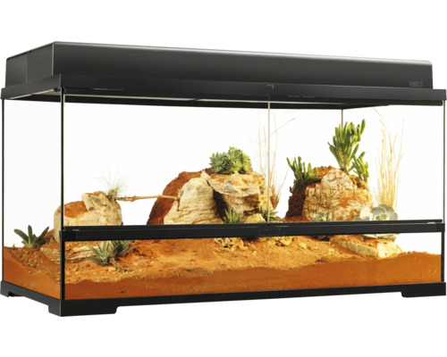 Ingericht terrarium met stenen en planten