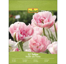 Verpakking tulpenbollen van de soort Double Late Finola