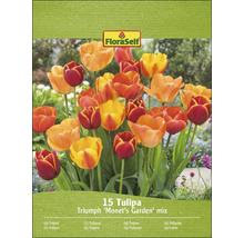 FloraSelf 15 Tulipa Triumph ''Monets tuin'' mix op de verpakking