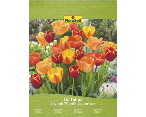 FloraSelf 15 Tulipa Triumph ''Monets tuin'' mix op de verpakking