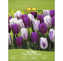 Verpakking Tulpen Mosaic mengsel met 15 tulpen