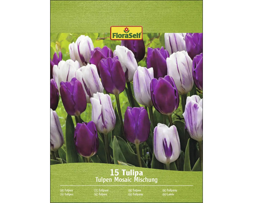 Verpakking Tulpen Mosaic mengsel met 15 tulpen