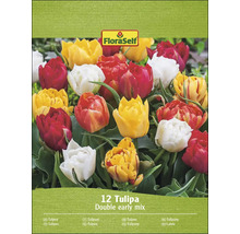 FloraSelf Tulpen Double Early Mix, verpakking van twaalf bloembollen