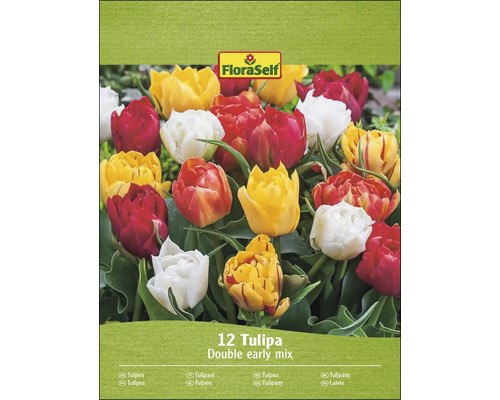 FloraSelf Tulpen Double Early Mix, verpakking van twaalf bloembollen