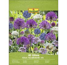 FloraSelf 40 Allium Bee and Butterfly mix verpakking