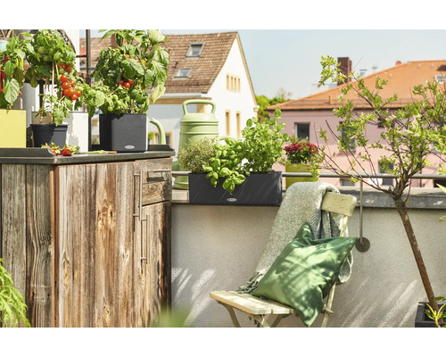 Balkonscène met planten in potten, kruiden, gieter en houten elementen