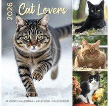 Kalender voor kattenliefhebbers voor 2026 met diverse kattenfoto''s