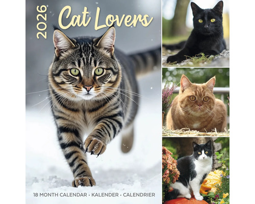 Kalender voor kattenliefhebbers voor 2026 met diverse kattenfoto''s
