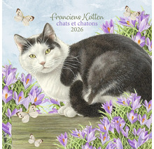 Francien Katten Kattenkalender 2026 met kat, krokussen en vlinders