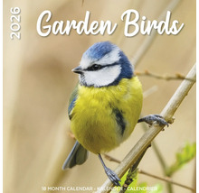 Tuinvogelkalender voor 2026 met een pimpelmees op een tak