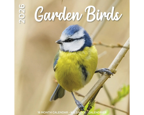 Tuinvogelkalender voor 2026 met een pimpelmees op een tak
