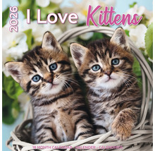 I Love Kittens Kalender voor 2026 met twee kittens in een mand