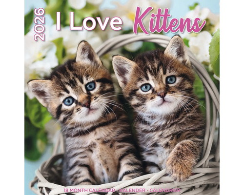 I Love Kittens Kalender voor 2026 met twee kittens in een mand