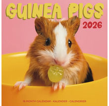 Cavia''s kalender voor 2026, 18-maandenkalender