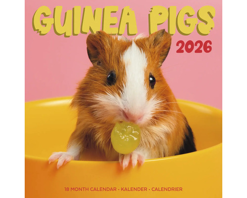 Cavia''s kalender voor 2026, 18-maandenkalender