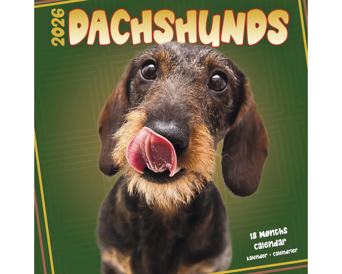 Teckel kalender 2026 met teckel afbeelding