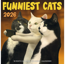 Funniest Cats Kalender voor 2026 met katten die een selfie maken