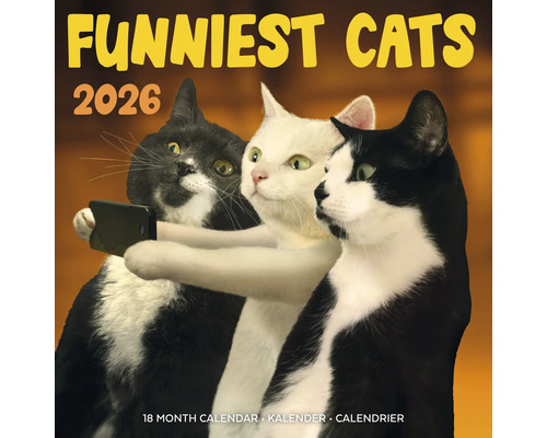 Funniest Cats Kalender voor 2026 met katten die een selfie maken