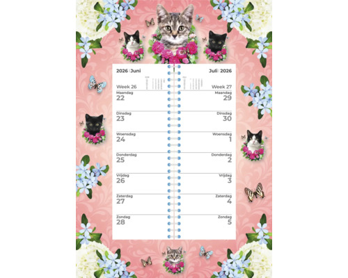 Kattenkalender met weekoverzicht voor 2026