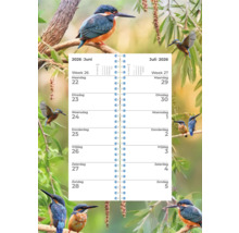 Weekkalender 2026 met ijsvogelmotieven