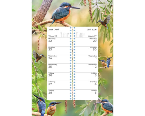 Weekkalender 2026 met ijsvogelmotieven