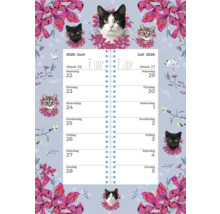 Kalender 2026 met kattenmotieven