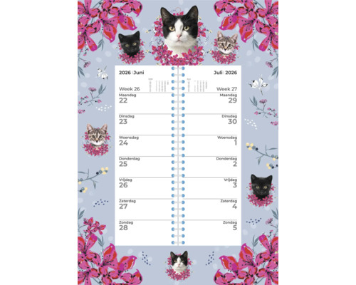 Kalender 2026 met kattenmotieven
