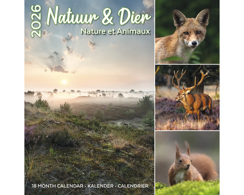 Natuur en Dier kalender met foto''s van vos, hert en eekhoorn