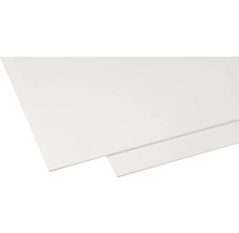 GUTTAGLISS® Hobbycolor kunststof plaat wit 1000x500x3 mm