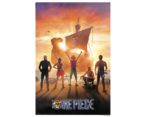 One Piece filmaffiche met piratenbende en schip