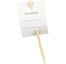 Plantenlabel van hout met beschrijfbaar veld voor datum en plantnaam