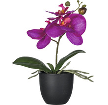 Kunstmatige paarse orchidee in zwarte pot