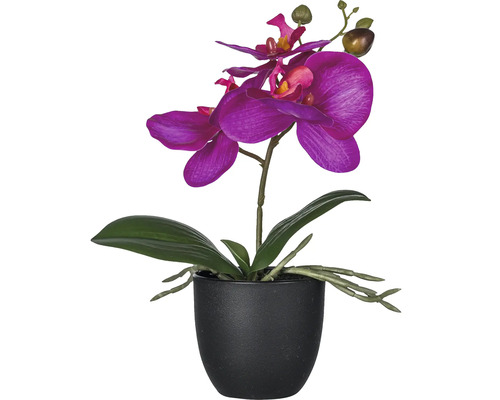 Kunstmatige paarse orchidee in zwarte pot