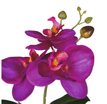 Kunstorchidee met paarse bloemen en groene knoppen