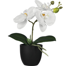 Kunstmatige witte orchidee in pot