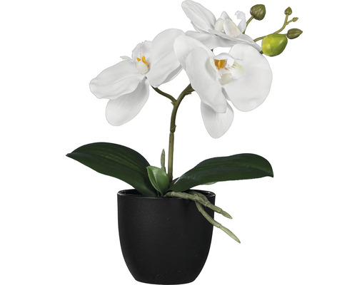 Kunstmatige witte orchidee in pot