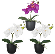 Drie orchideeën in potten, twee witte en één paarse kunstbloem