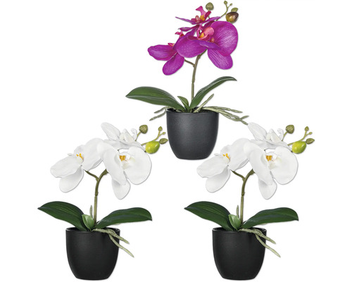 Drie orchideeën in potten, twee witte en één paarse kunstbloem