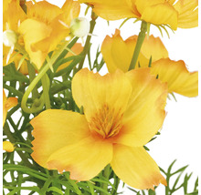 Kunstmatige gele bloemen met groene bladeren