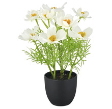 Kunstplant met witte bloemen in pot