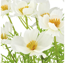 Close-up van kunstmatige witte bloemen met gele accenten en groene stelen.