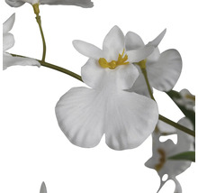 Kunstbloem, witte bloemen
