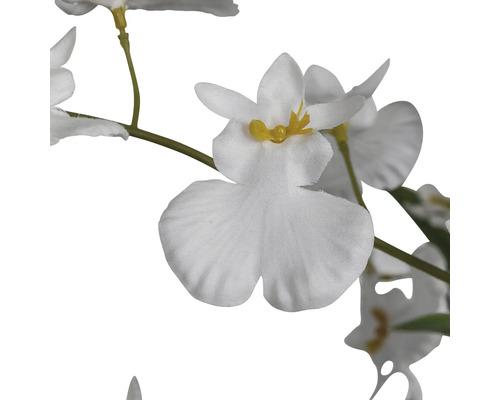 Kunstbloem, witte bloemen